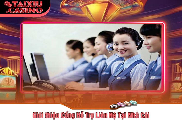 Giới thiệu Cổng Hỗ Trợ Liên Hệ Tại Nhà Cái